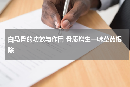 白马骨的功效与作用 骨质增生一味草药根除