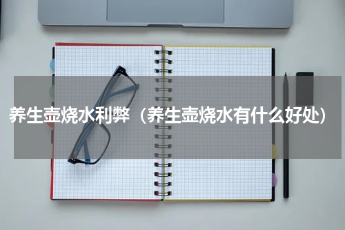 养生壶烧水利弊（养生壶烧水有什么好处）