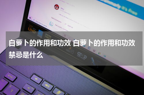 白萝卜的作用和功效 白萝卜的作用和功效禁忌是什么