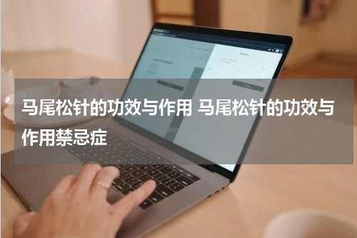 马尾松针的功效与作用 马尾松针的功效与作用禁忌症