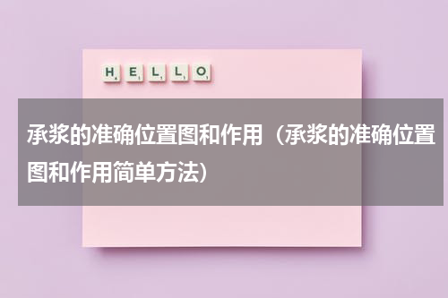 承浆的准确位置图和作用（承浆的准确位置图和作用简单方法）