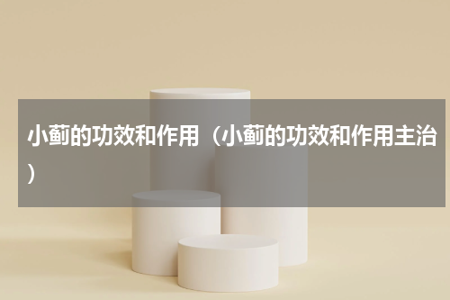 小蓟的功效和作用（小蓟的功效和作用主治）