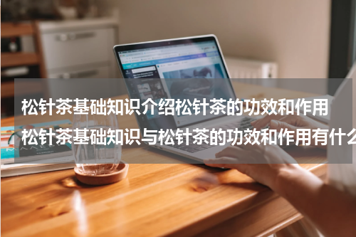 松针茶基础知识介绍松针茶的功效和作用 松针茶基础知识与松针茶的功效和作用有什么