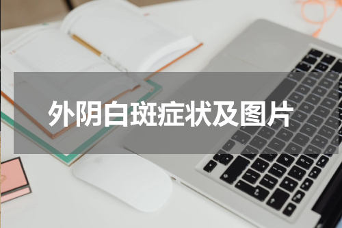 外阴白斑症状及图片