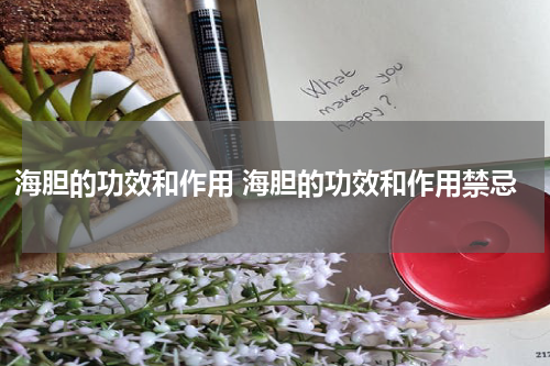 海胆的功效和作用 海胆的功效和作用禁忌