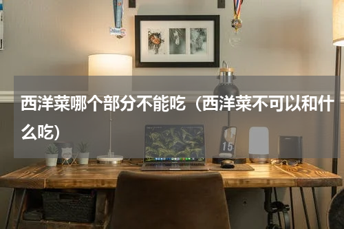 西洋菜哪个部分不能吃（西洋菜不可以和什么吃）