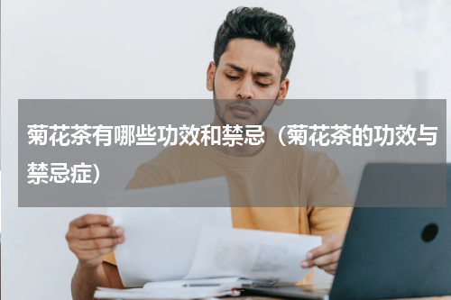 菊花茶有哪些功效和禁忌（菊花茶的功效与禁忌症）