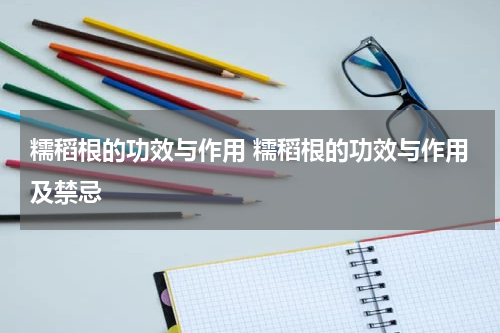 糯稻根的功效与作用 糯稻根的功效与作用及禁忌