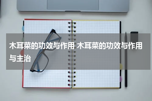 木耳菜的功效与作用 木耳菜的功效与作用与主治