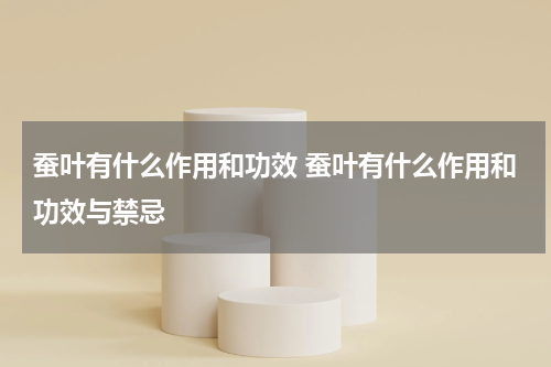 蚕叶有什么作用和功效 蚕叶有什么作用和功效与禁忌