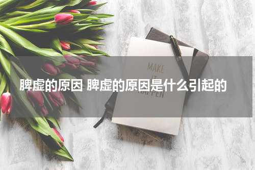 脾虚的原因 脾虚的原因是什么引起的