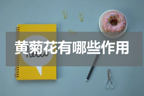 黄菊花有哪些作用