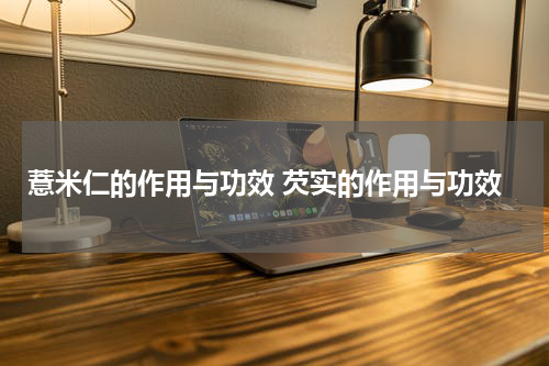 薏米仁的作用与功效 芡实的作用与功效
