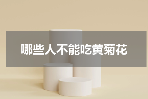 哪些人不能吃黄菊花