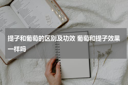 提子和葡萄的区别及功效 葡萄和提子效果一样吗