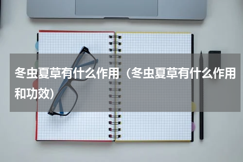 冬虫夏草有什么作用（冬虫夏草有什么作用和功效）