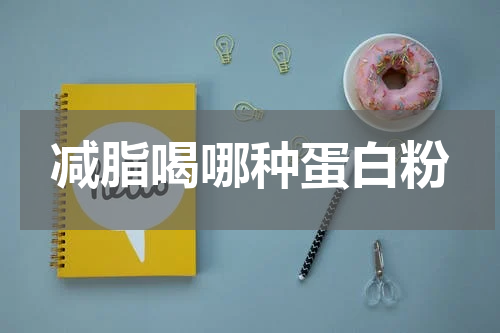 减脂喝哪种蛋白粉