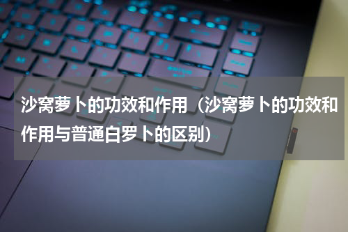 沙窝萝卜的功效和作用（沙窝萝卜的功效和作用与普通白罗卜的区别）