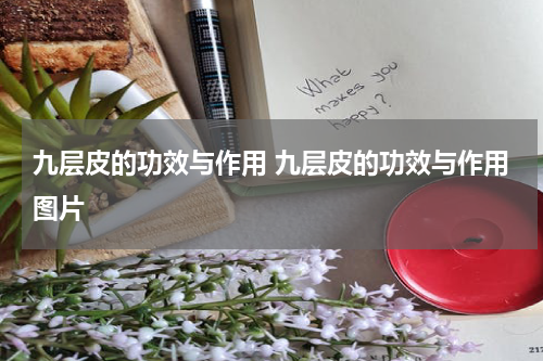 九层皮的功效与作用 九层皮的功效与作用图片