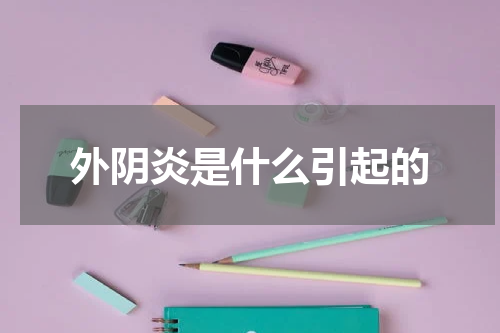 外阴炎是什么引起的