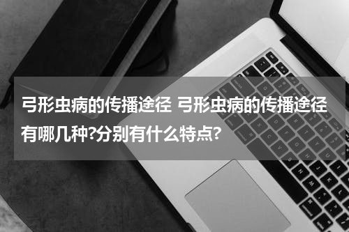 弓形虫病的传播途径 弓形虫病的传播途径有哪几种?分别有什么特点?