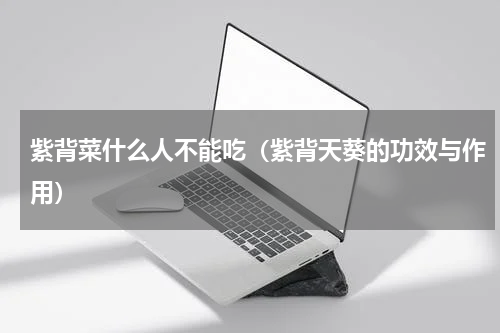 紫背菜什么人不能吃（紫背天葵的功效与作用）