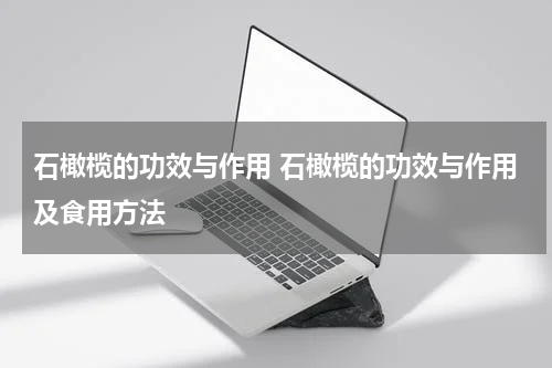 石橄榄的功效与作用 石橄榄的功效与作用及食用方法