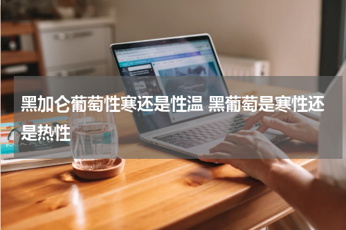 黑加仑葡萄性寒还是性温 黑葡萄是寒性还是热性