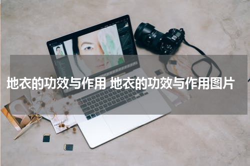地衣的功效与作用 地衣的功效与作用图片