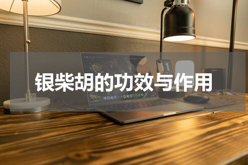 银柴胡的功效与作用