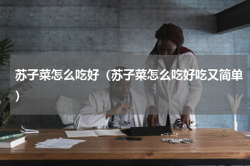 苏子菜怎么吃好（苏子菜怎么吃好吃又简单）