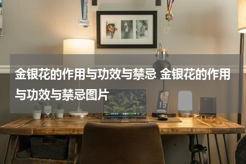 金银花的作用与功效与禁忌 金银花的作用与功效与禁忌图片