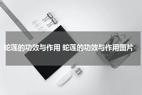 蛇莲的功效与作用 蛇莲的功效与作用图片