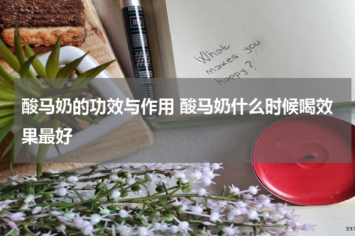 酸马奶的功效与作用 酸马奶什么时候喝效果最好