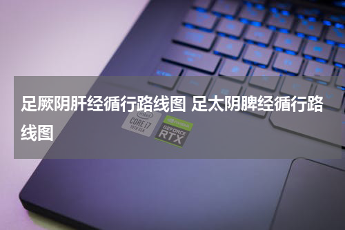 足厥阴肝经循行路线图 足太阴脾经循行路线图