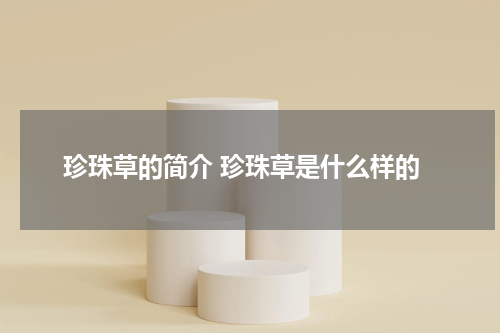 珍珠草的简介 珍珠草是什么样的