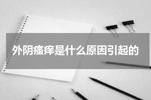 外阴瘙痒是什么原因引起的