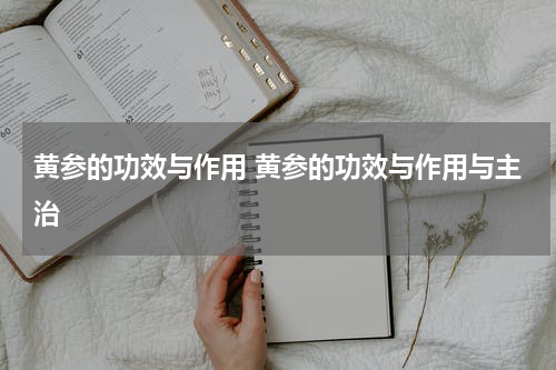 黄参的功效与作用 黄参的功效与作用与主治