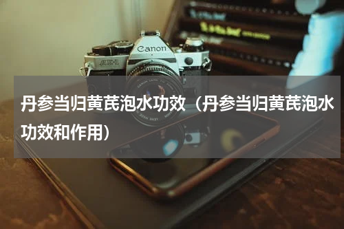 丹参当归黄芪泡水功效（丹参当归黄芪泡水功效和作用）
