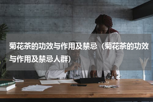 菊花茶的功效与作用及禁忌（菊花茶的功效与作用及禁忌人群）