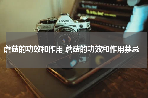 蘑菇的功效和作用 蘑菇的功效和作用禁忌