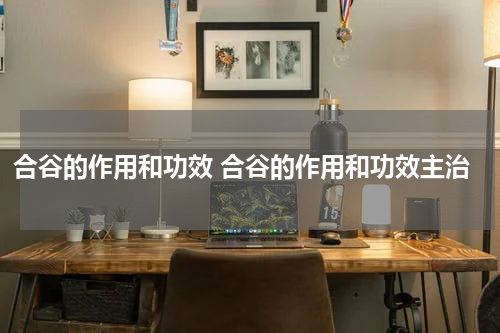 合谷的作用和功效 合谷的作用和功效主治