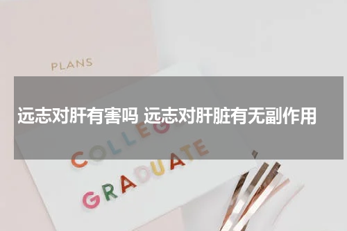 远志对肝有害吗 远志对肝脏有无副作用