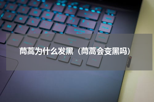 茼蒿为什么发黑（茼蒿会变黑吗）