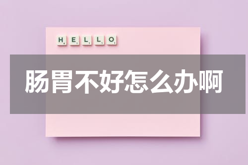 肠胃不好怎么办啊