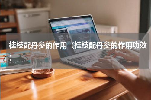 桂枝配丹参的作用（桂枝配丹参的作用功效）