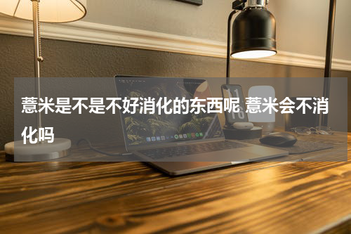薏米是不是不好消化的东西呢 薏米会不消化吗