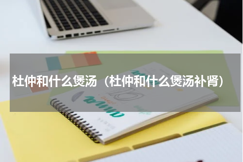 杜仲和什么煲汤（杜仲和什么煲汤补肾）