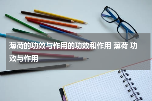 薄荷的功效与作用的功效和作用 薄荷 功效与作用