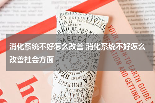 消化系统不好怎么改善 消化系统不好怎么改善社会方面
